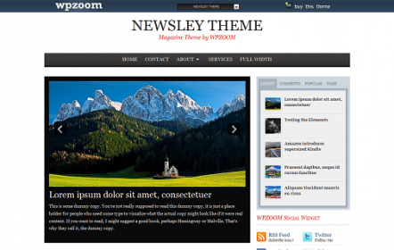 newsley-wordpress